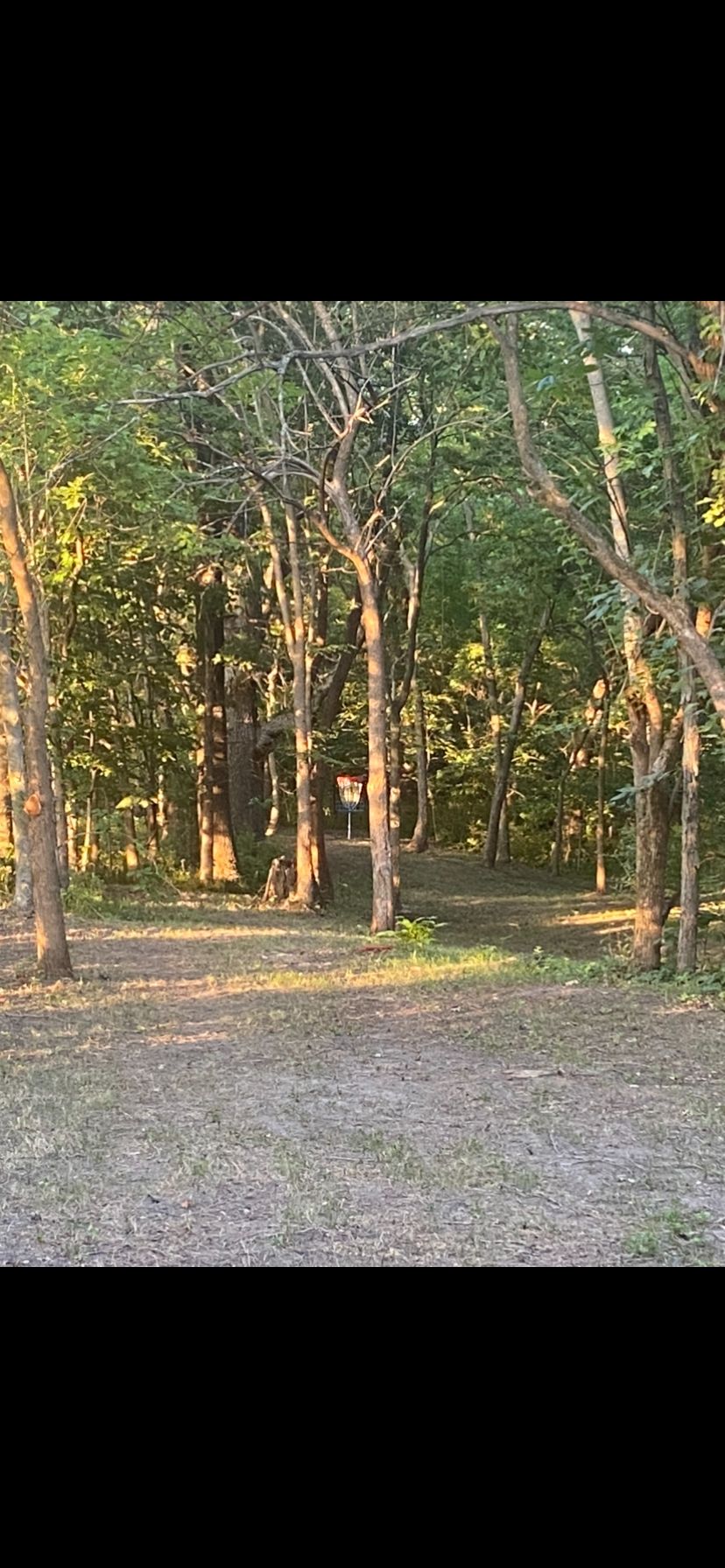 Mid way look into the basket A on hole #9 