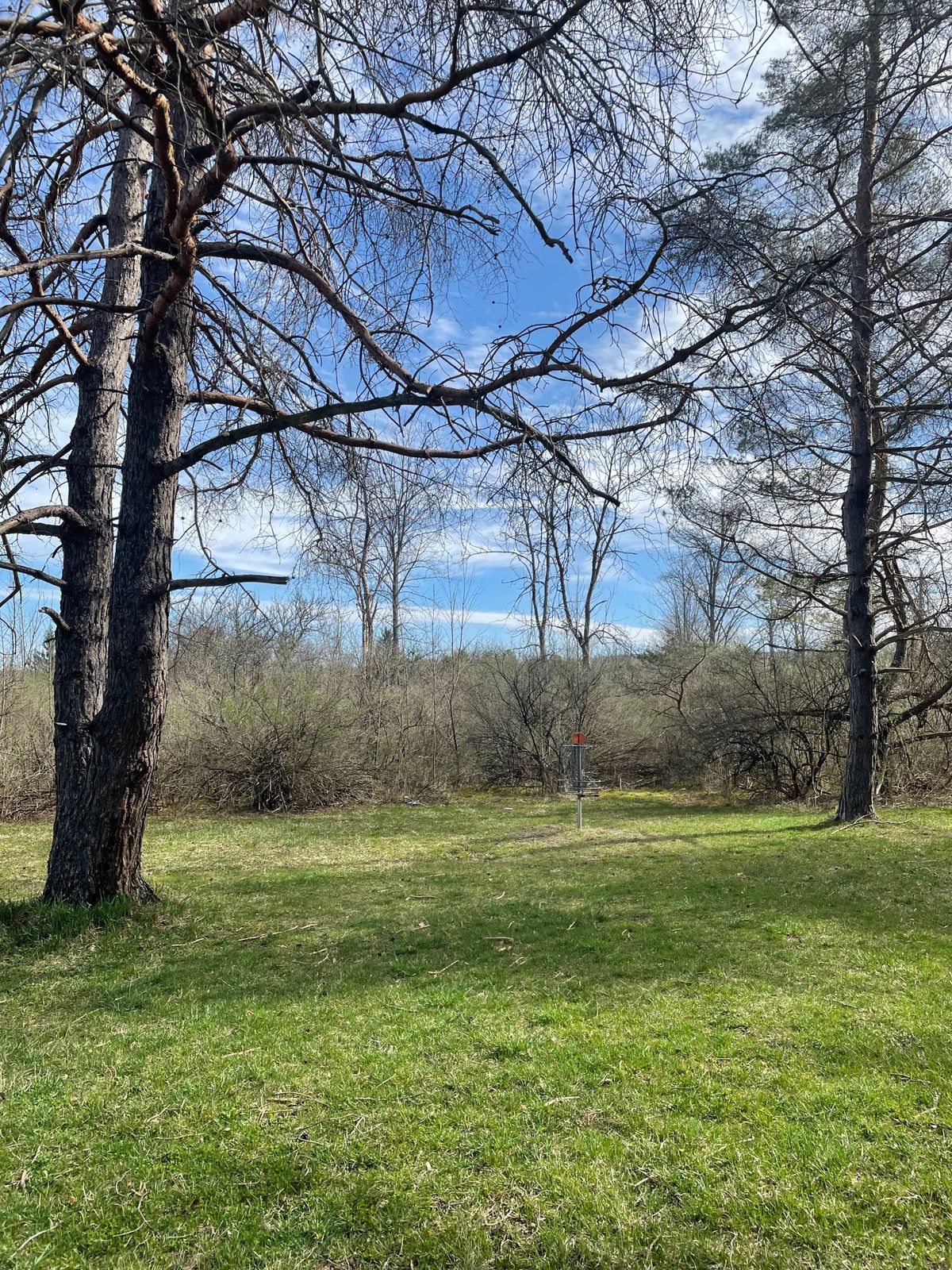 Hole 1, green area.