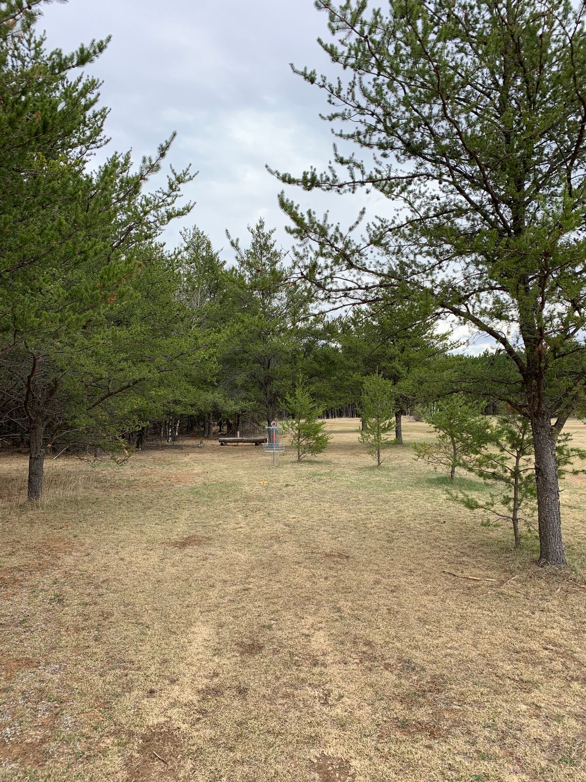 Hole 3 green