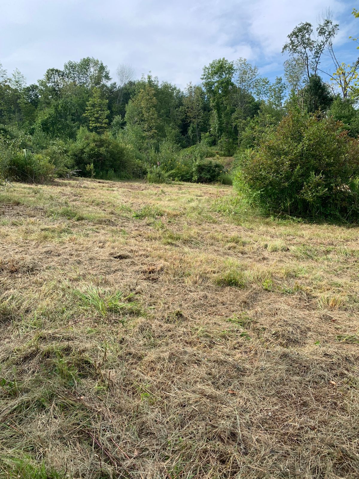 Hole 13 Red has recently been cleared. Tad bit muddy but playable! The reds are in the works!