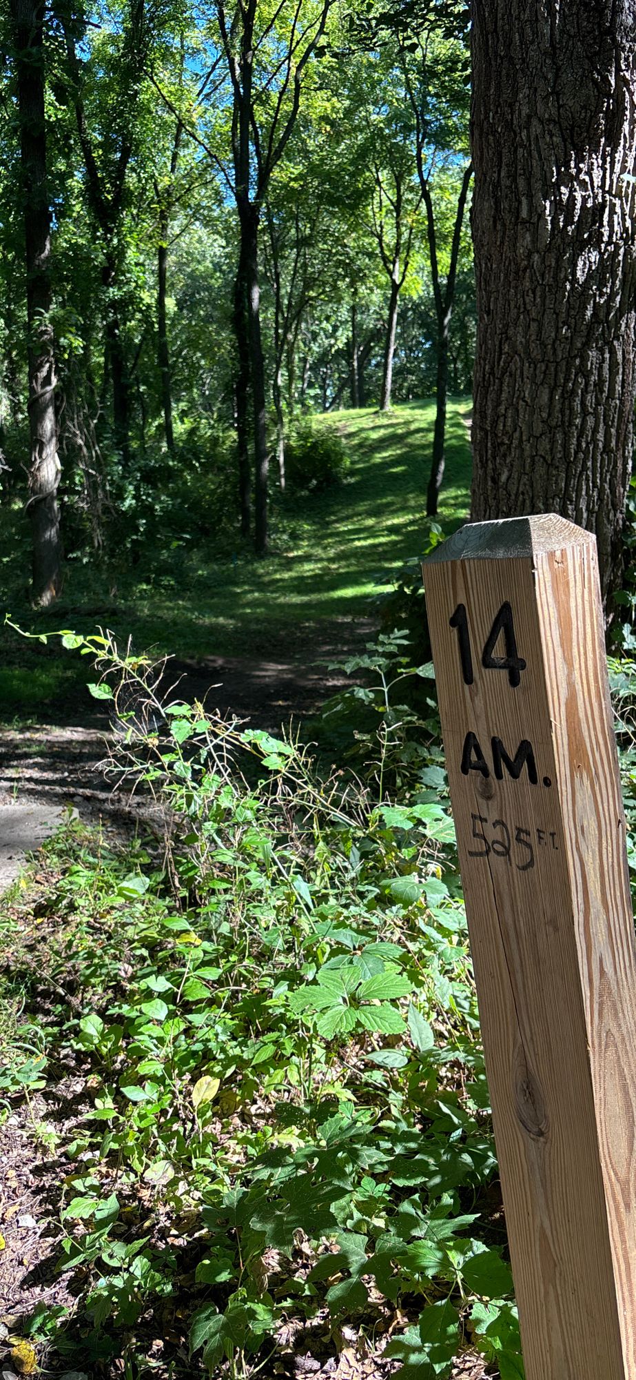 8.30.25