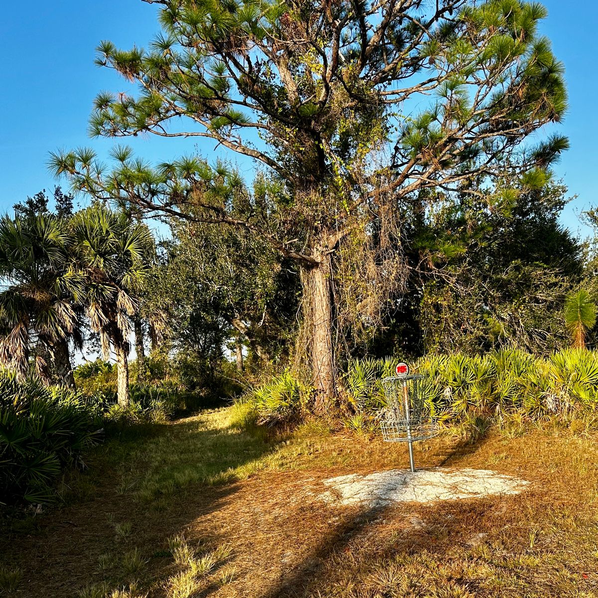 Current basket location 10/2025