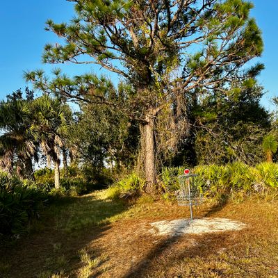 Current basket location 10/2025