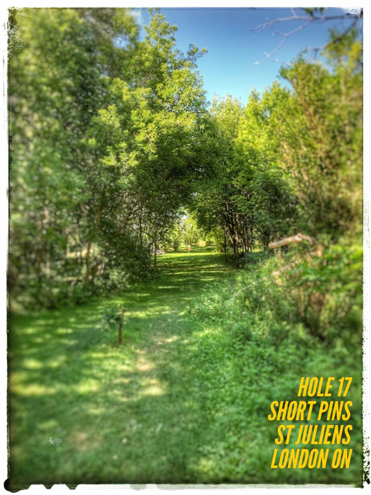 Hole 17 - short pin placement