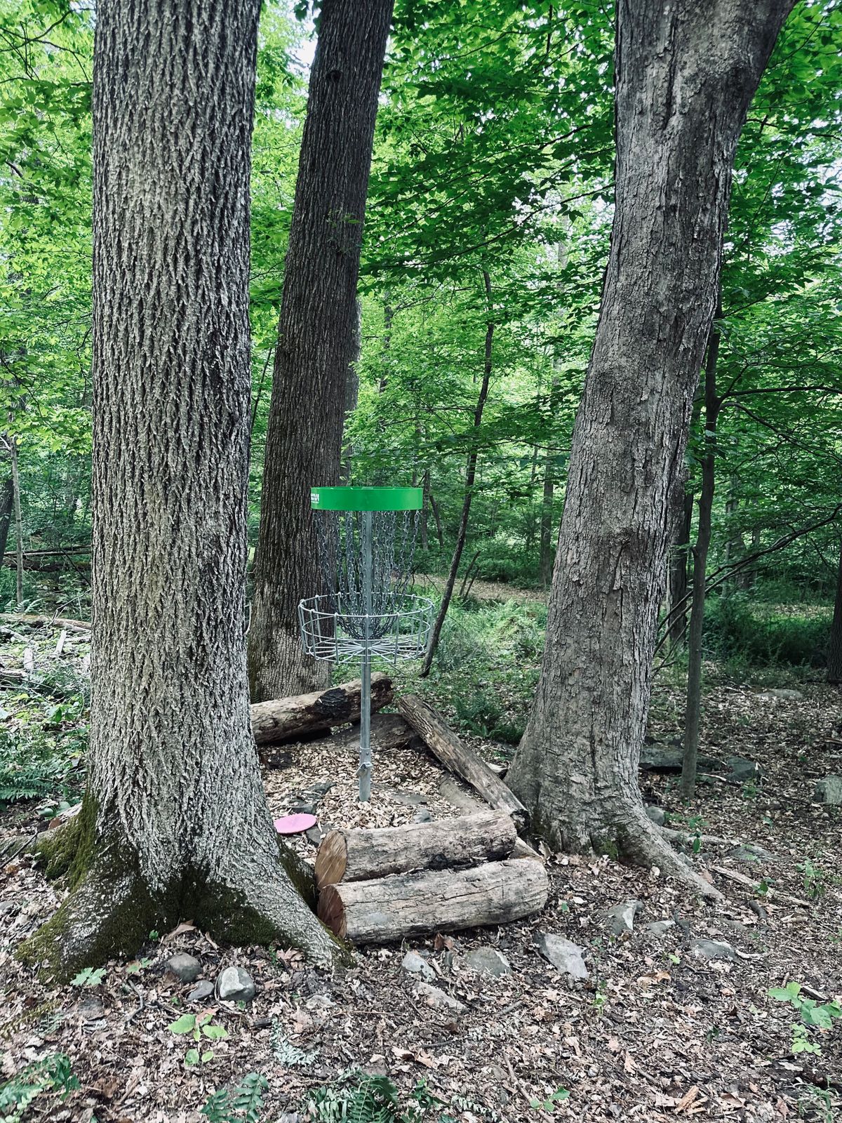 Hole 8
