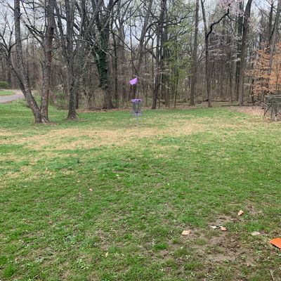 6 purple/short basket.