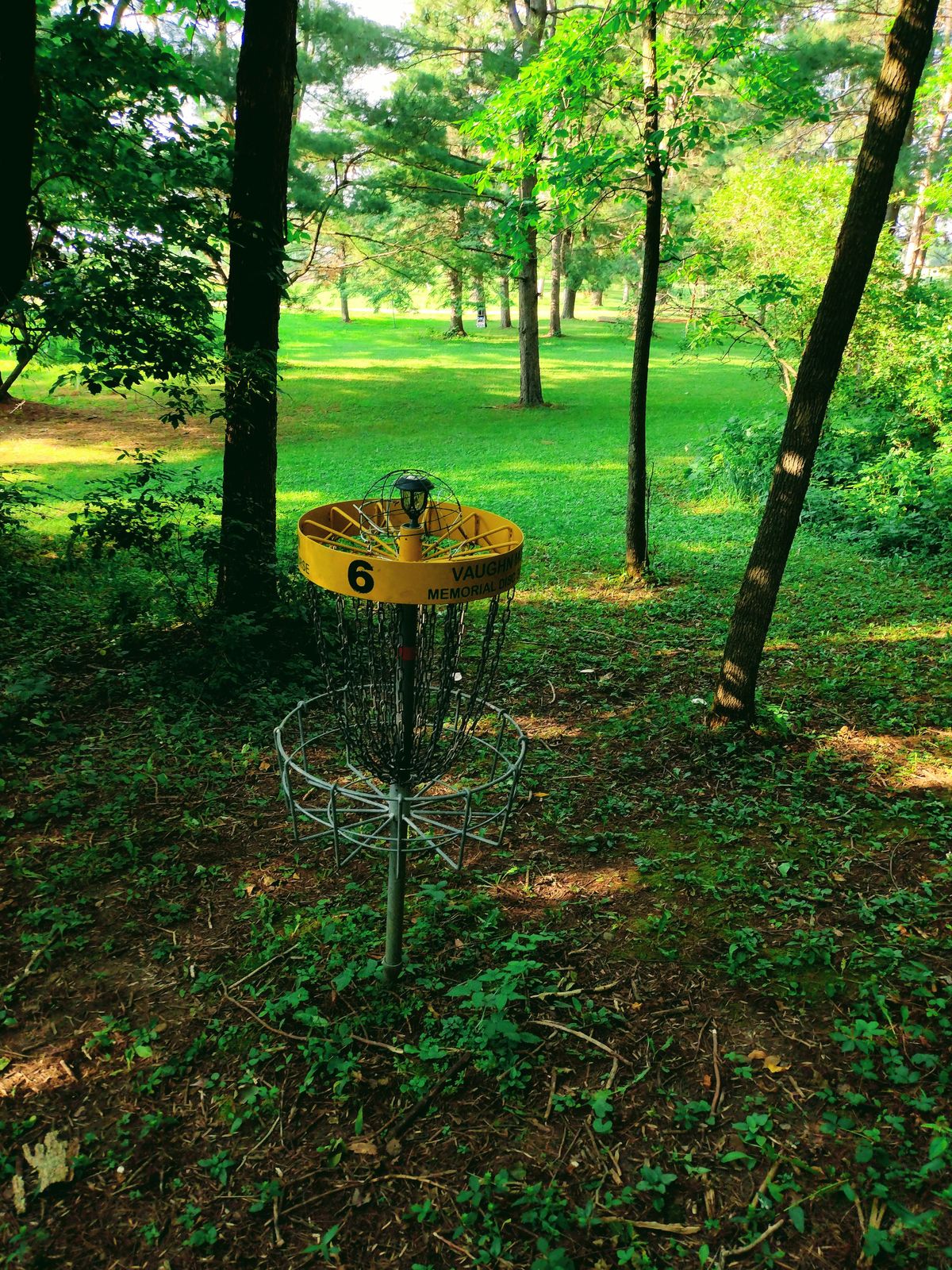 Basket 6 looking back at the Tee