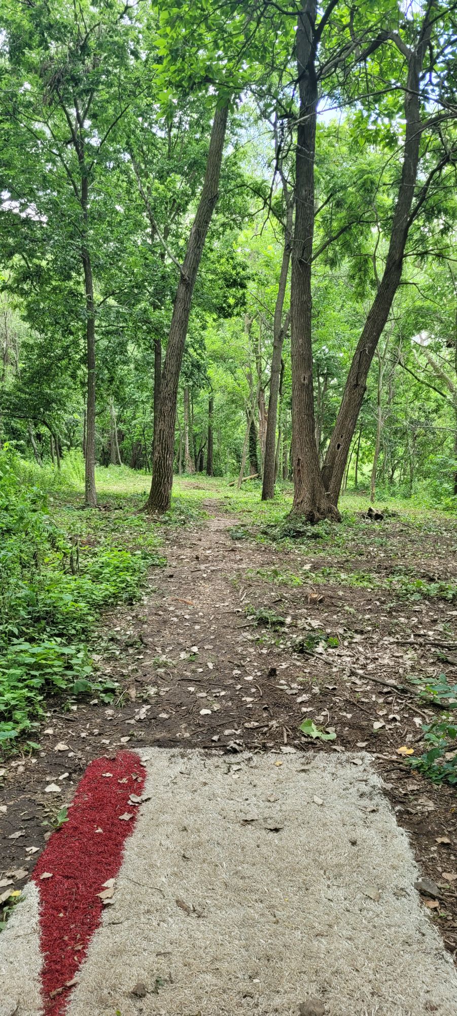 Victoria Lake Disc Golf Course