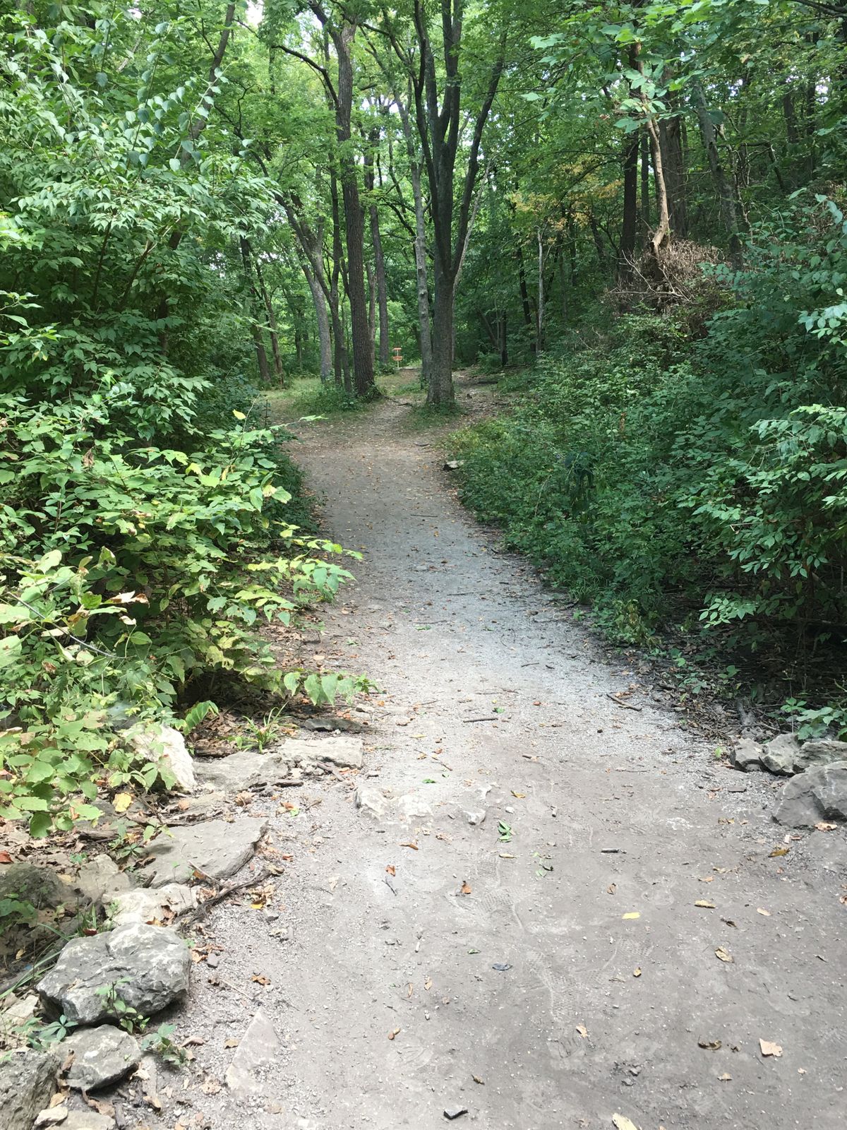 Hole 16 from tee.