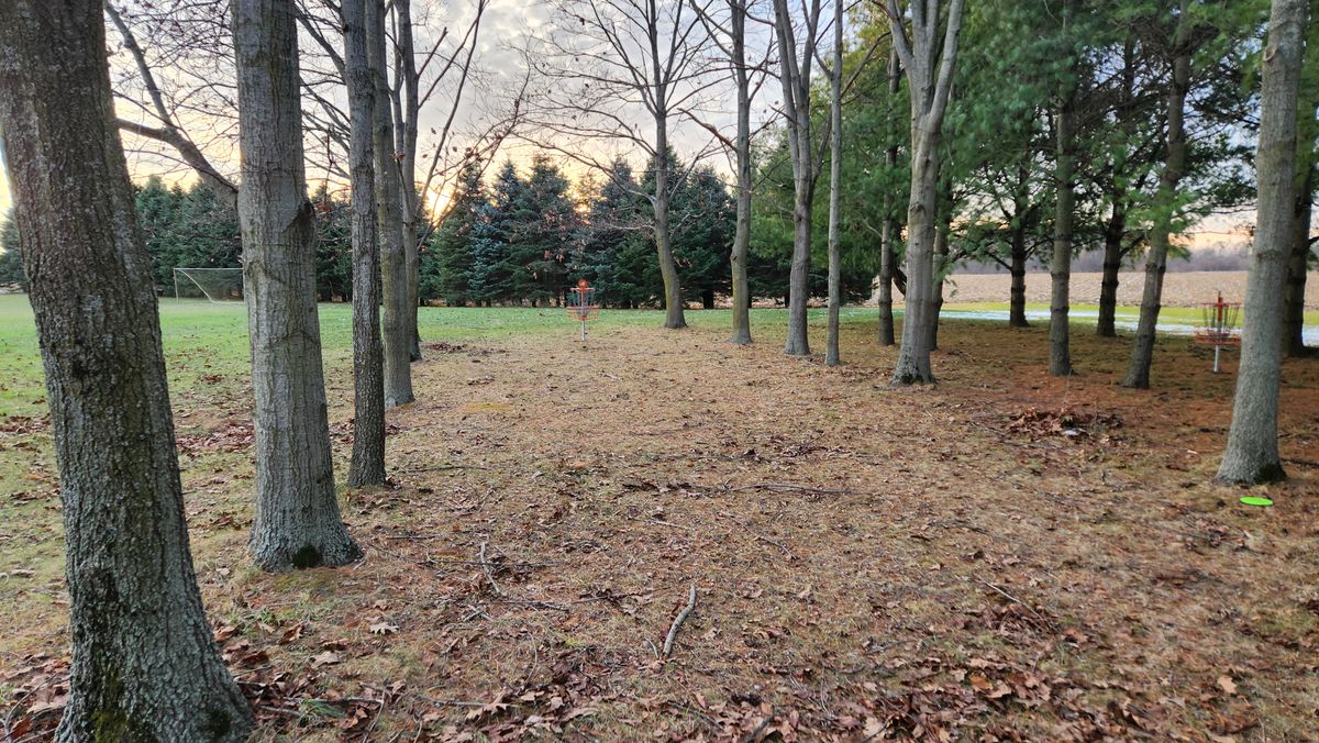 4 basket approach with 7 basket visible on the right