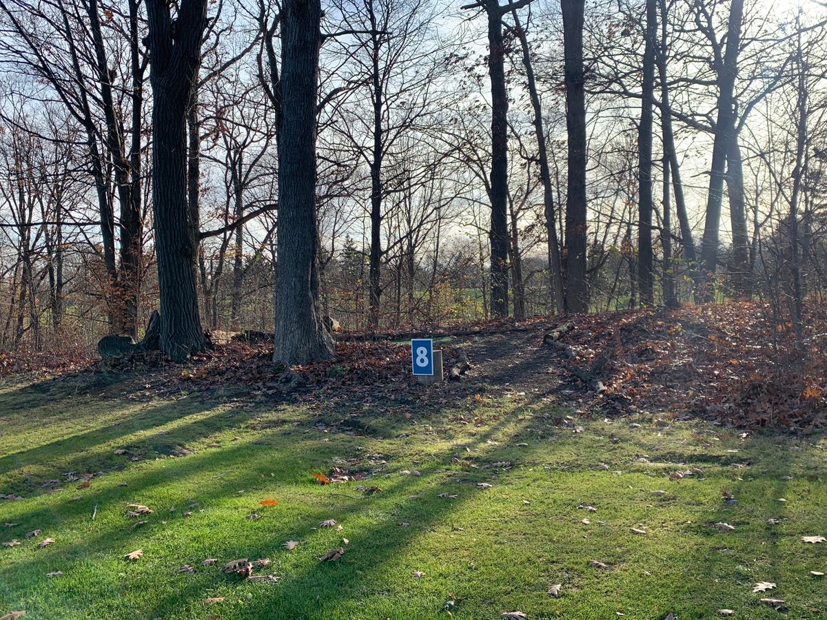 Hole 8 long tee