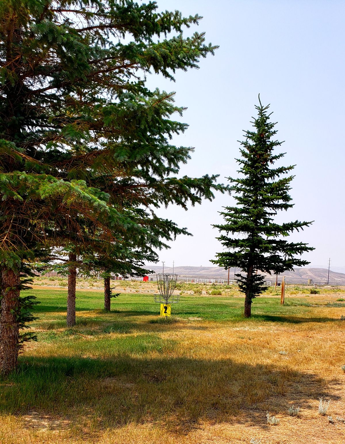Hole 2 in the shade of large pines.