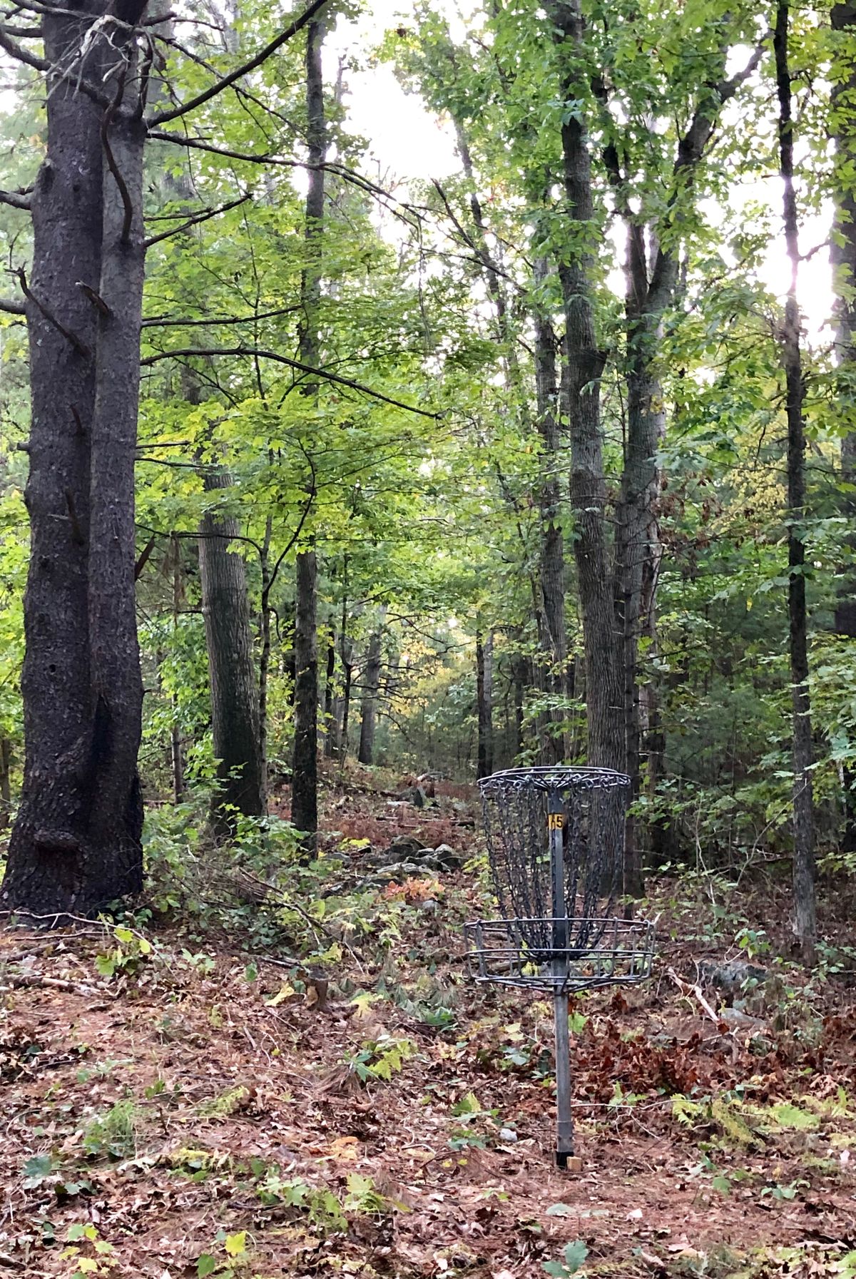 Hole 18