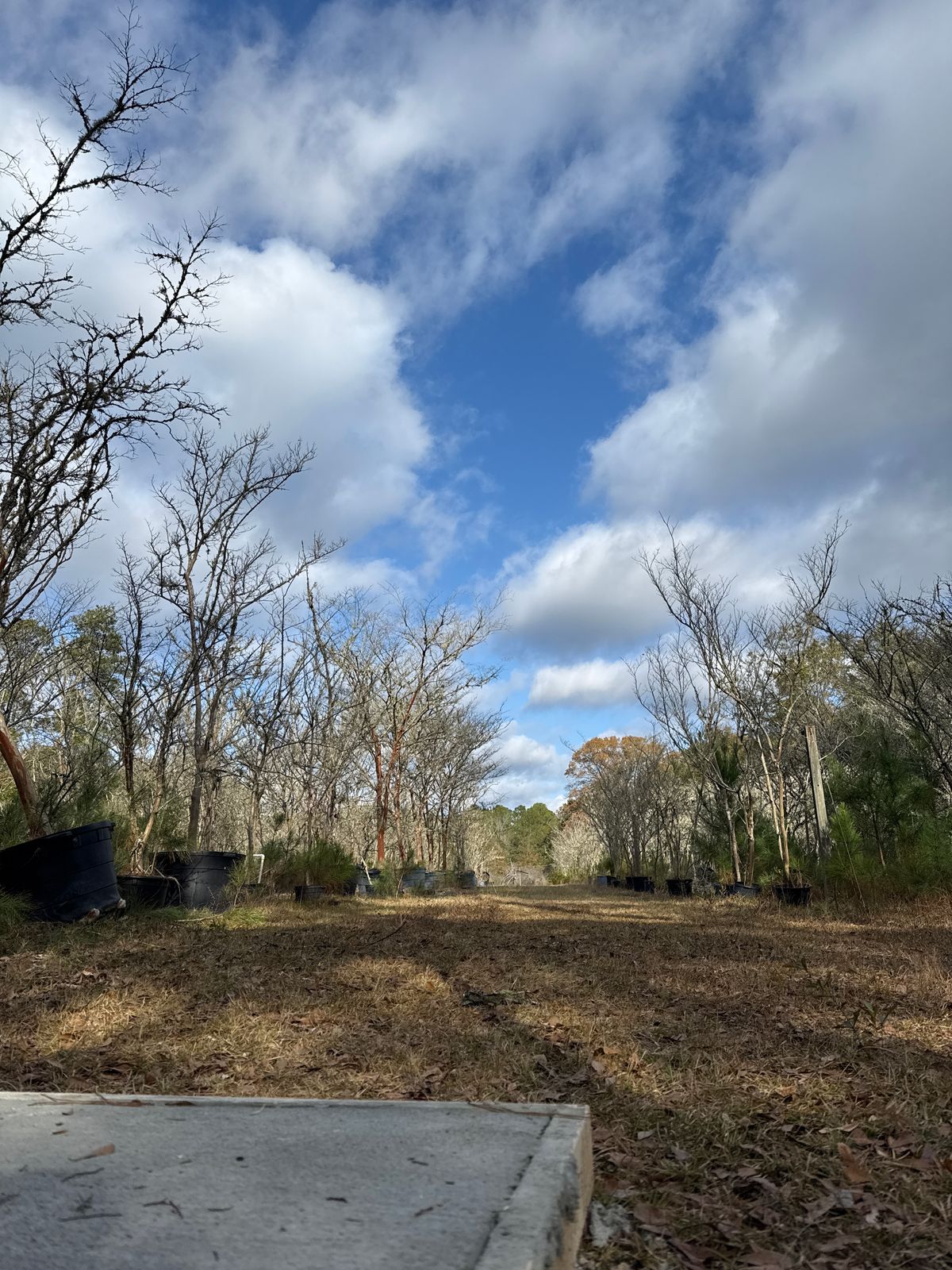 Hole 18 fairway from tee pad