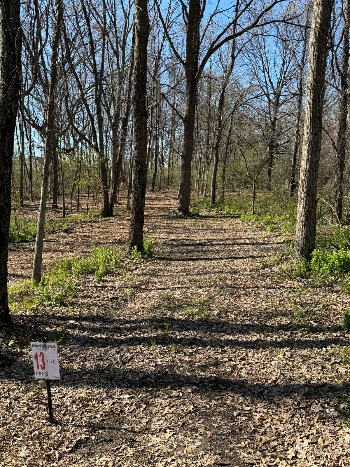 Hole 13 Short Tee