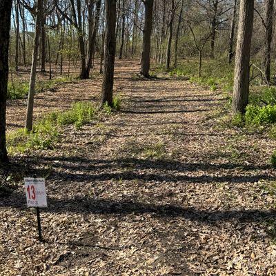 Hole 13 Short Tee