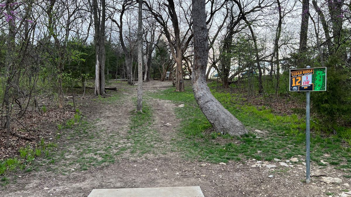 Hole 12