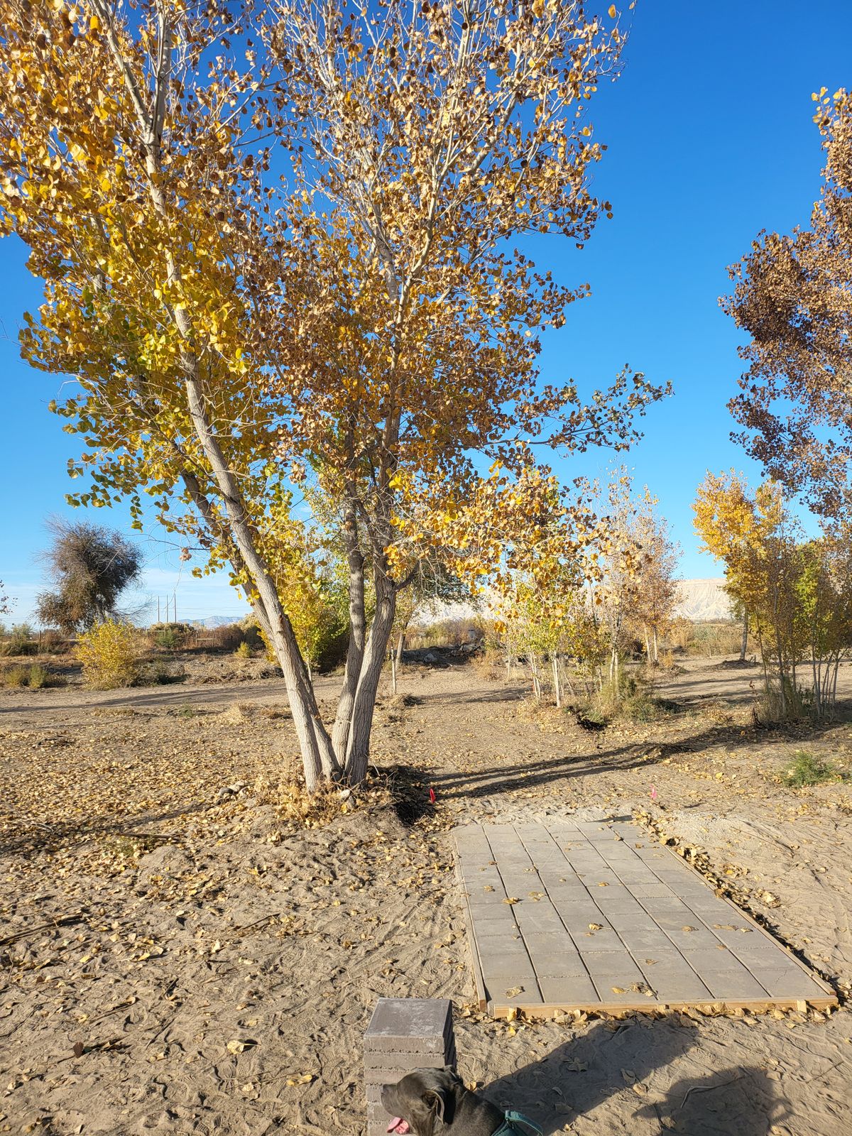 Hole 2