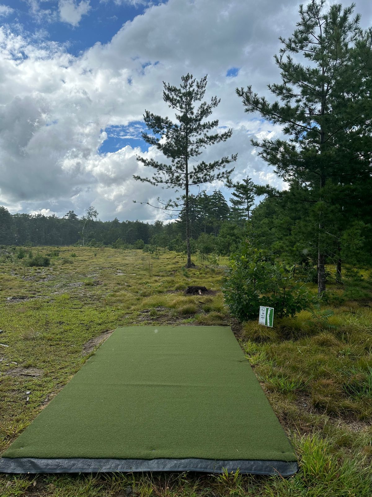 Hole 16 tee