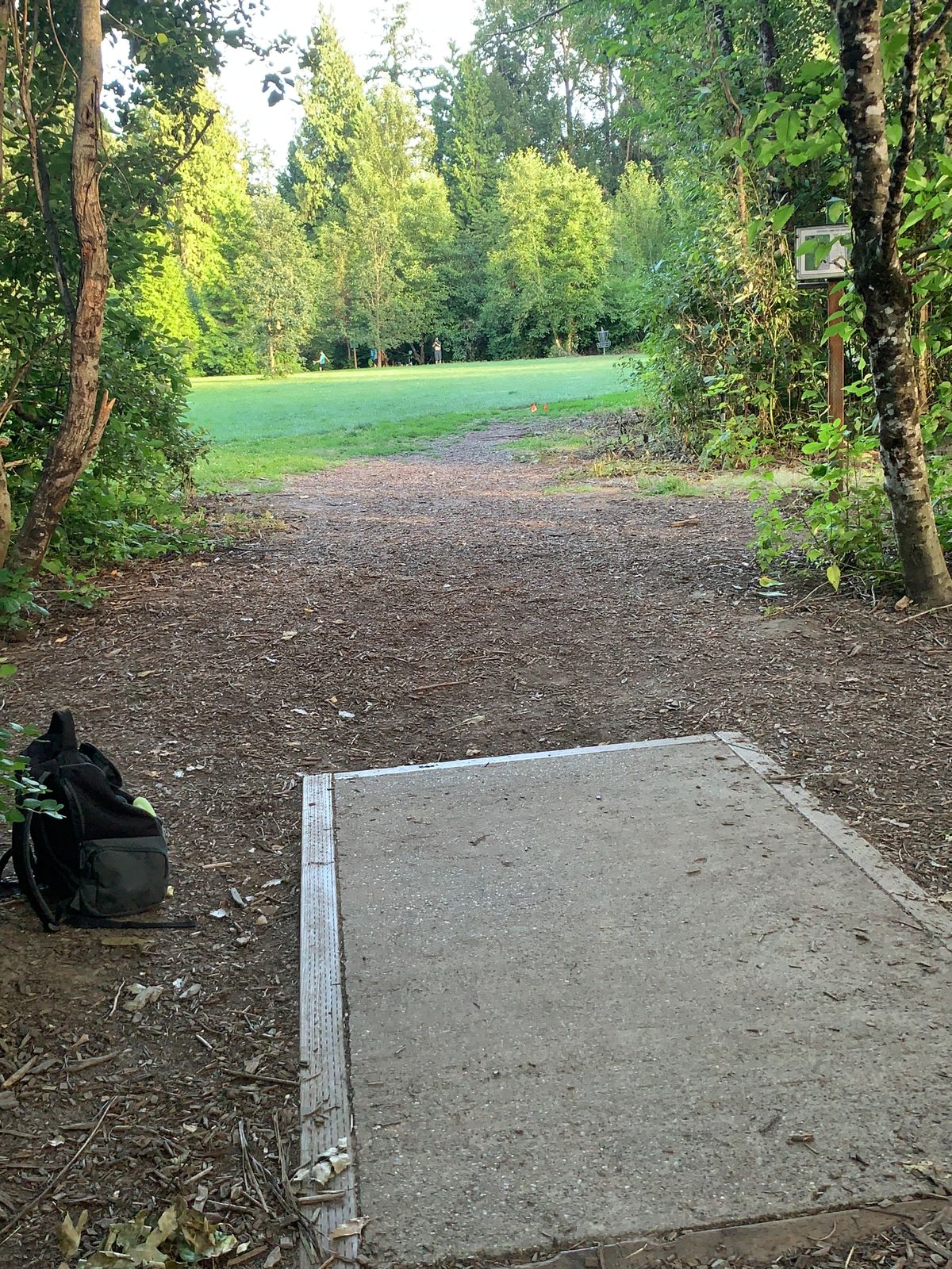 Tee 6