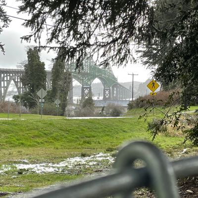 North Bend bridge at Ferry Road Park