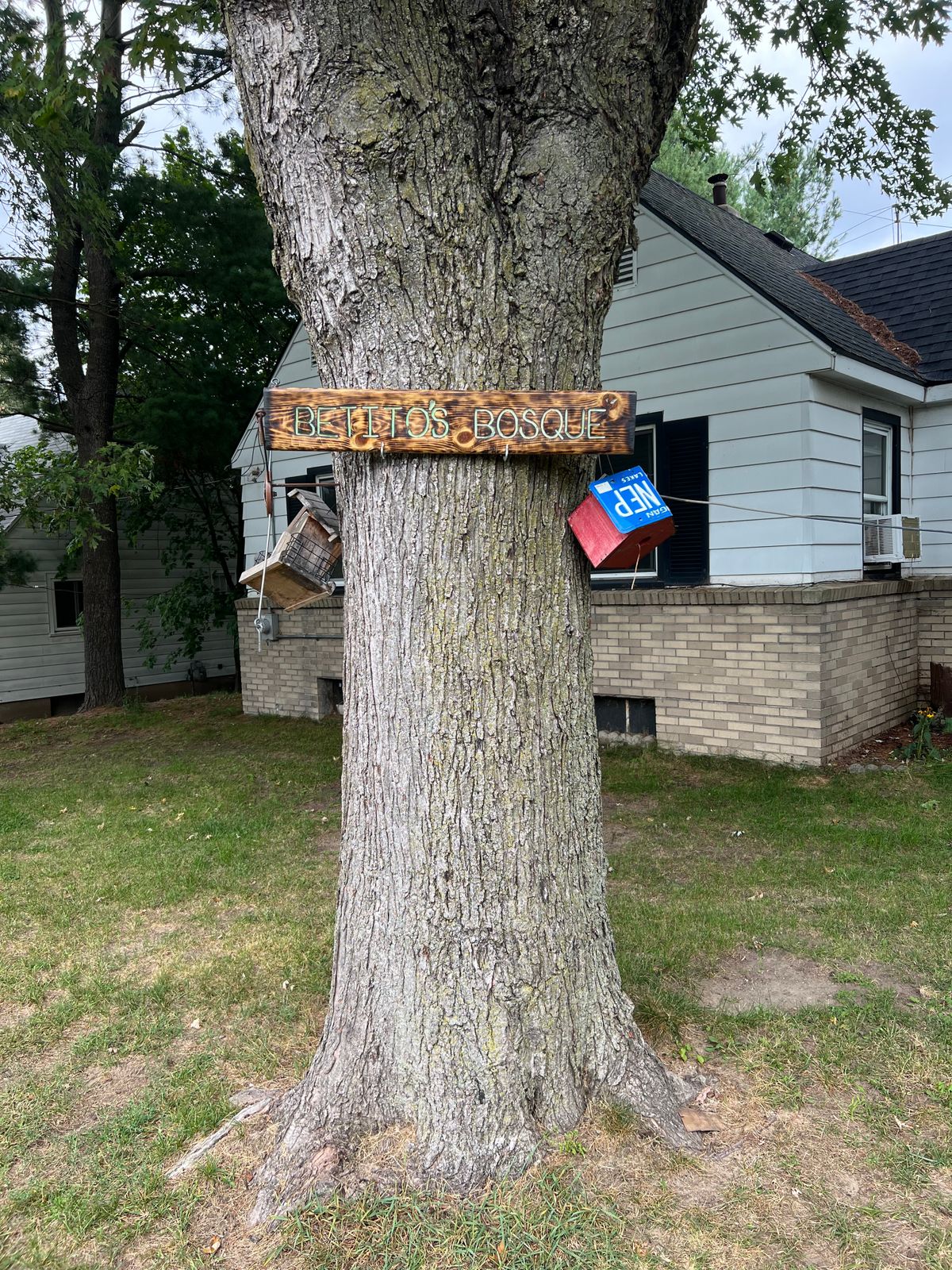 This sign is in the front yard and is able to be seen from the road.