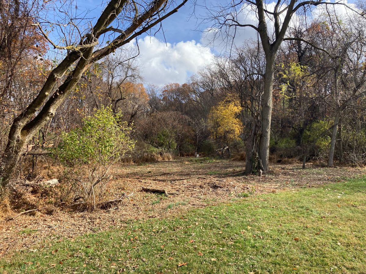 Looking at tee from fairway