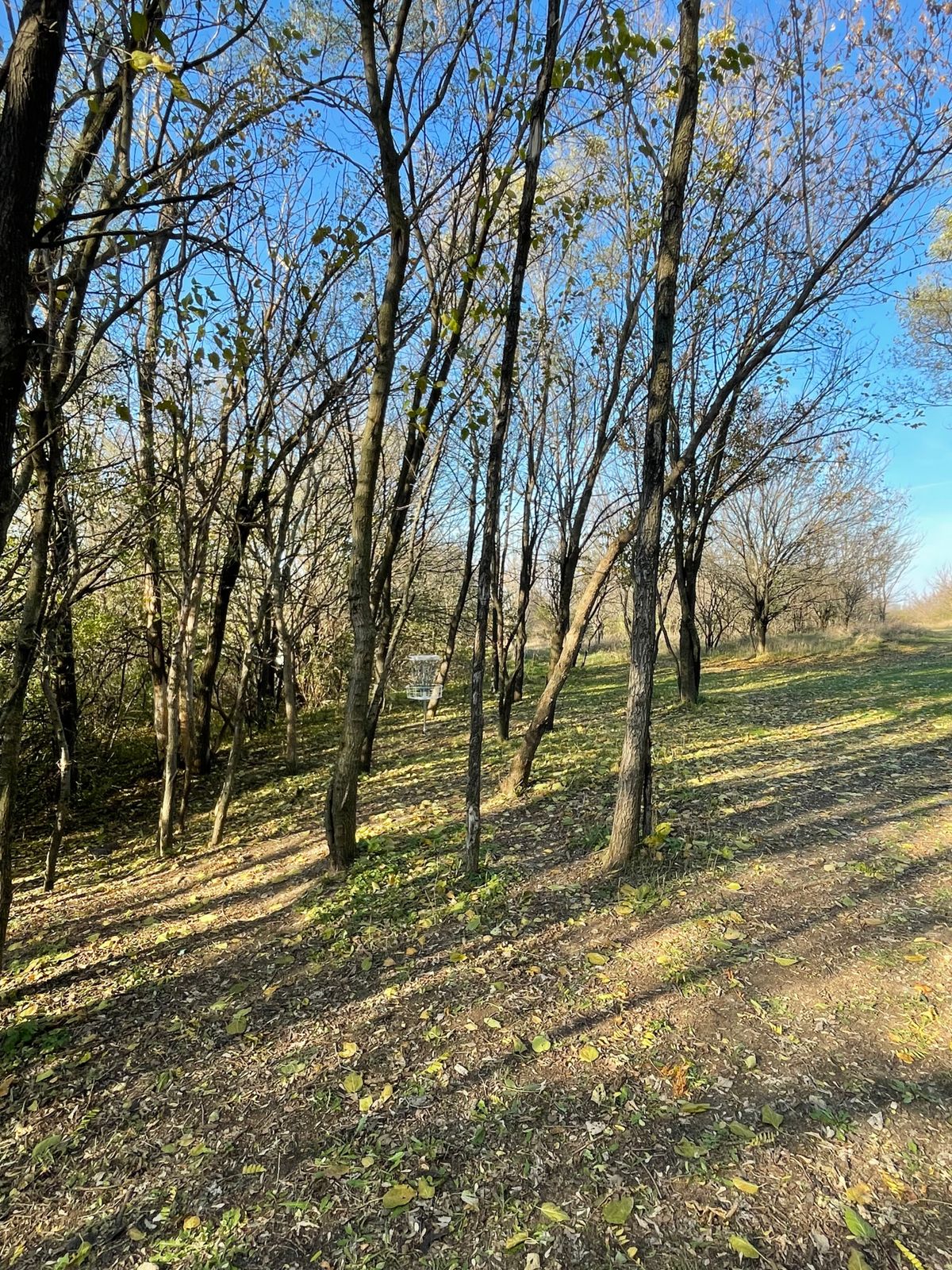 Hole 11