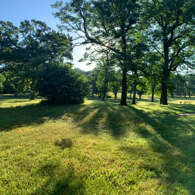 Course is fairly shady in the mornings.