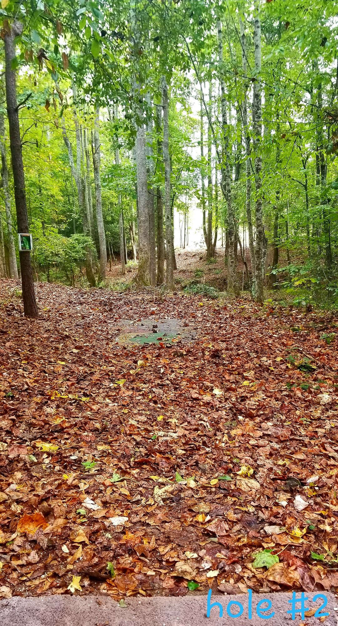 Hole 2- split fairway