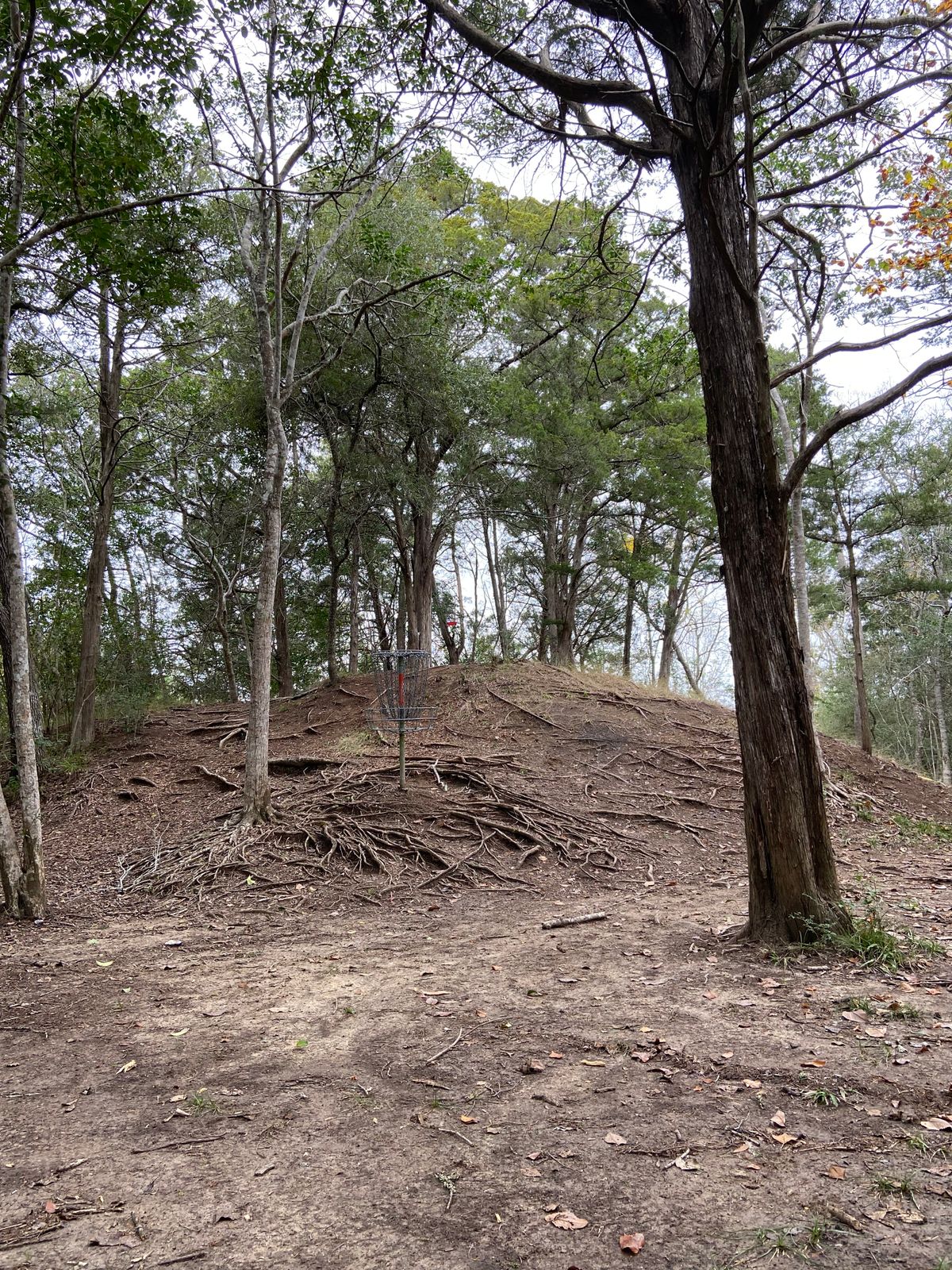 Blind approach hole 1, picture from the back. Don’t overshoot; creek behind me