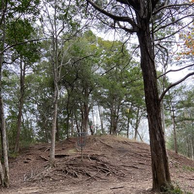 Blind approach hole 1, picture from the back. Don’t overshoot; creek behind me