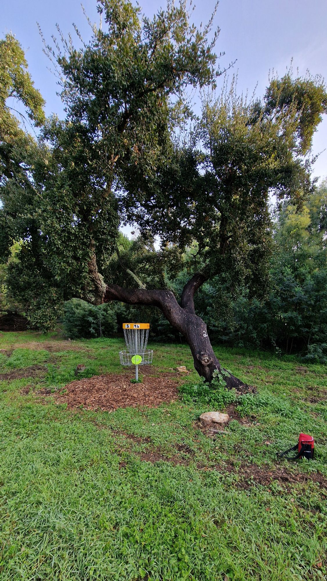 9 Blue and 5 White/Blue share a basket. Players on 9 Blue have priority. Very different holes that end at the same place. 