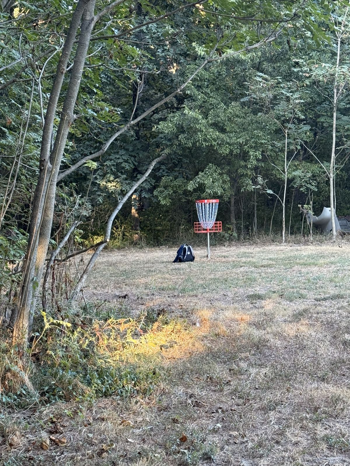 Hole 4 Basket