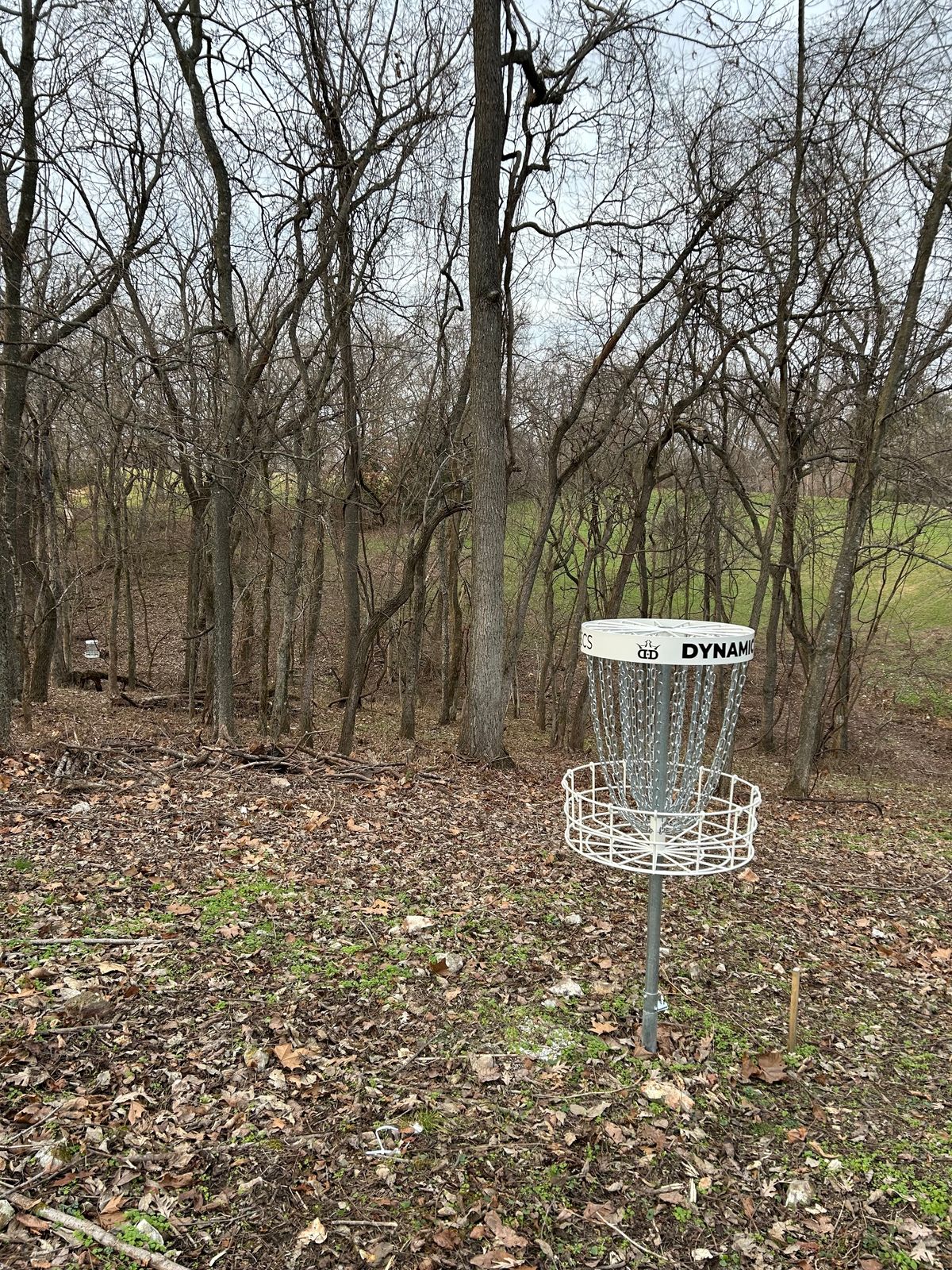 Hole 2 basket