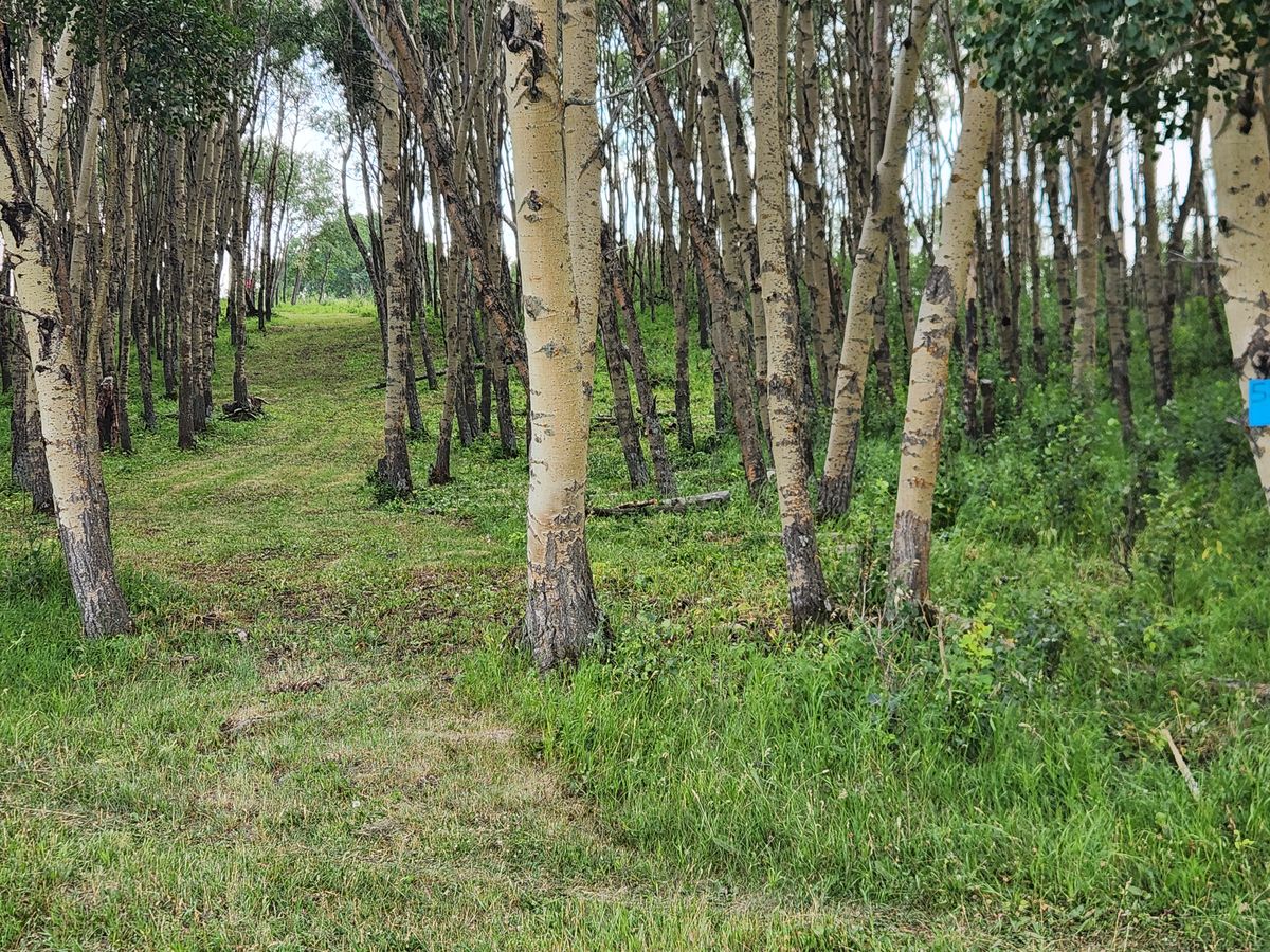 Hole 5