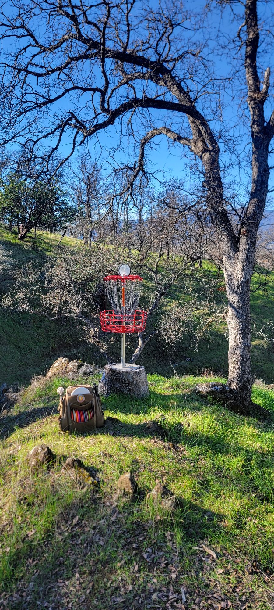 Hole 2 basket
