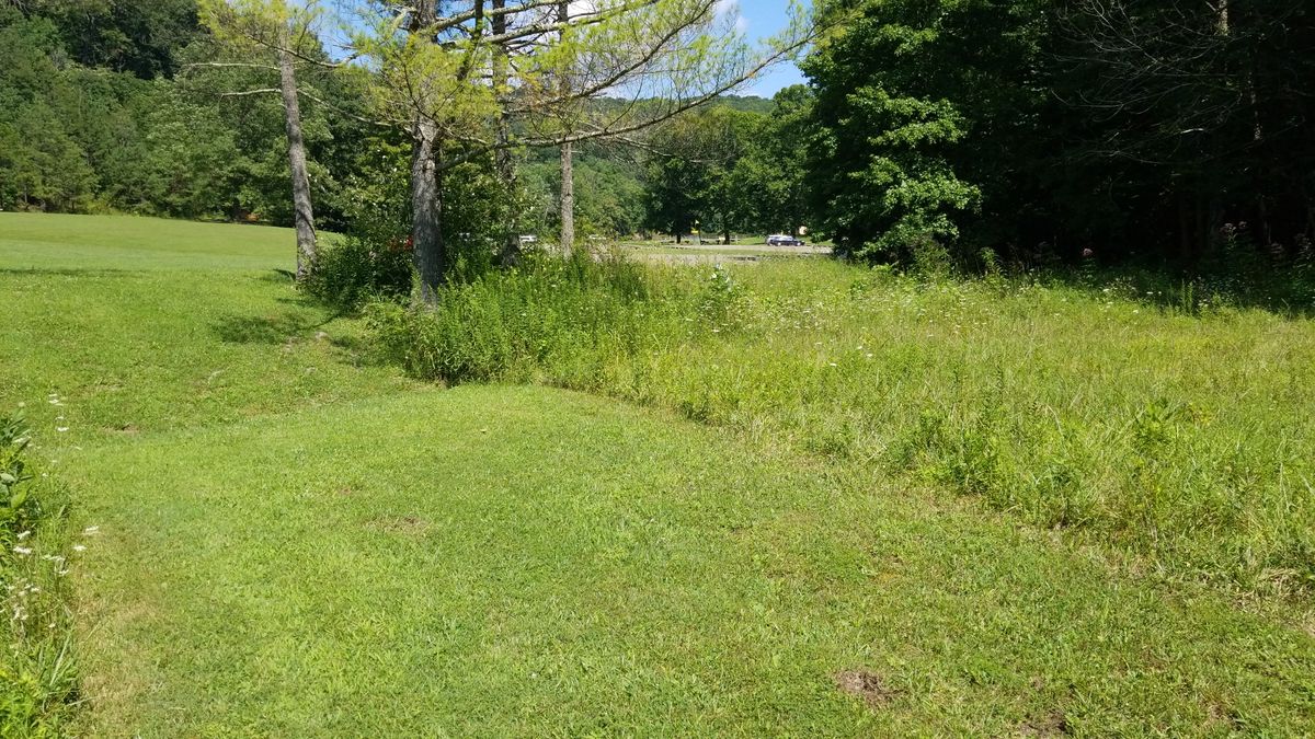 Hole 18 fairway looking towards practice basket. Before hole 18 long was cut and mowed.