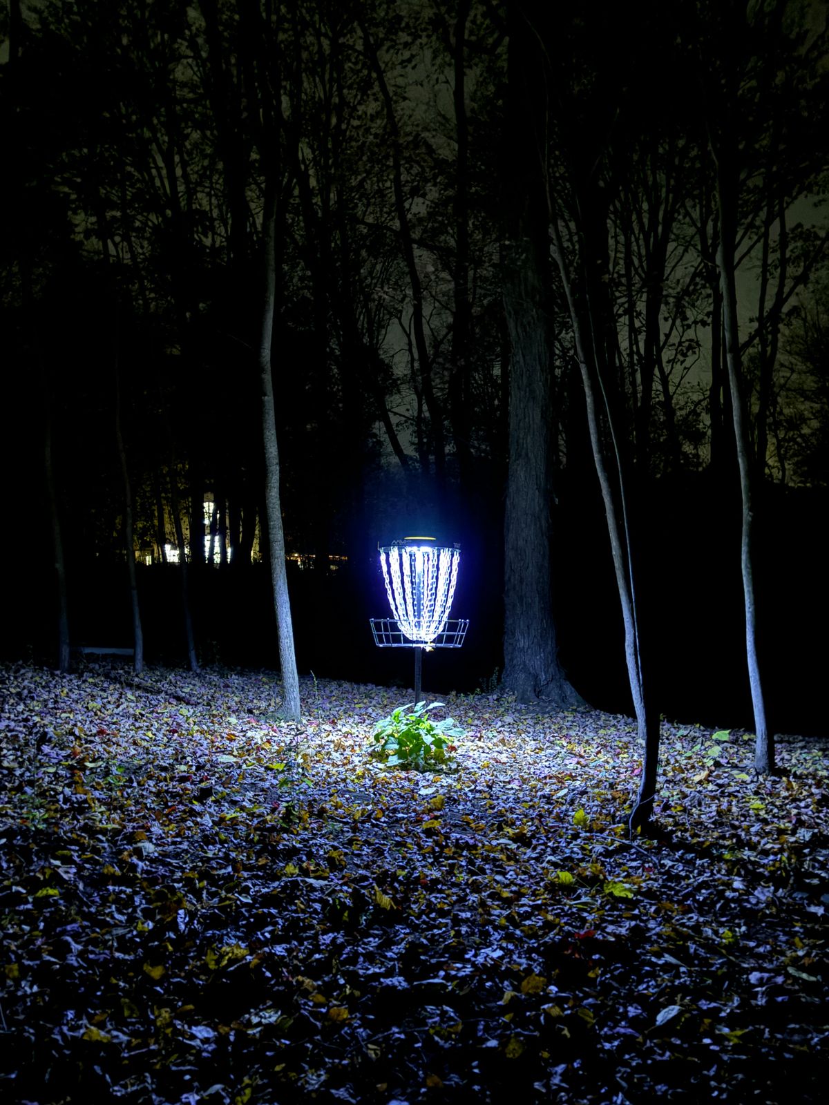 Basket of hole 1 during a glow round. 