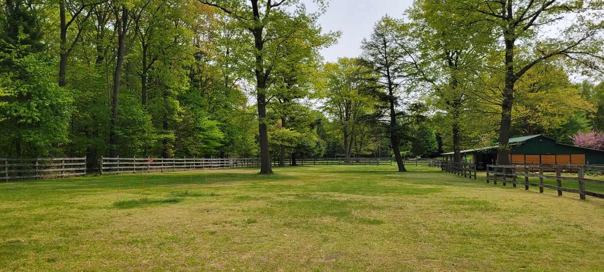 Hole 9 tee