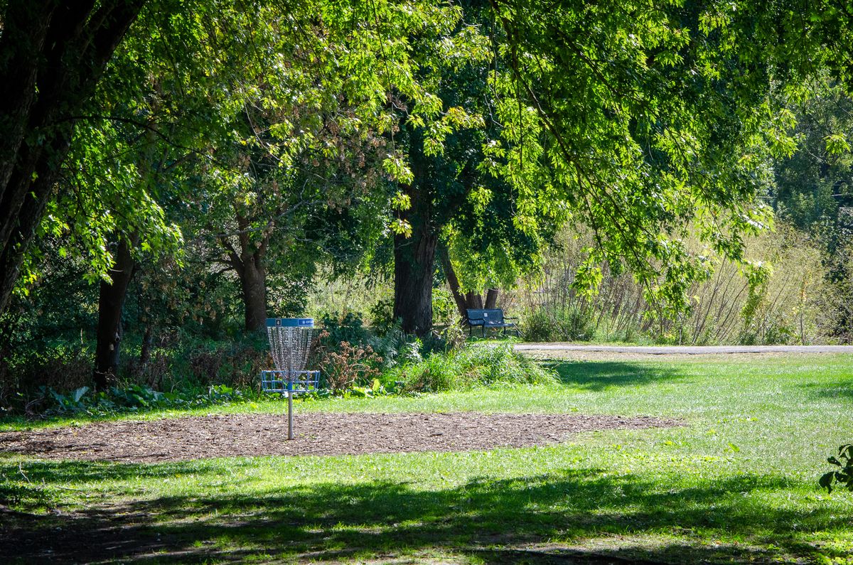 Hole 4 Basket and path to 5 around the pond.
