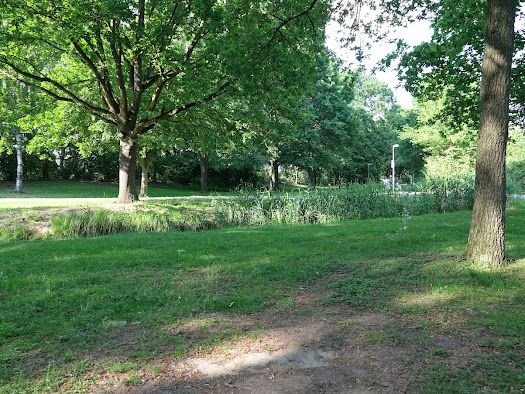 Tee 10