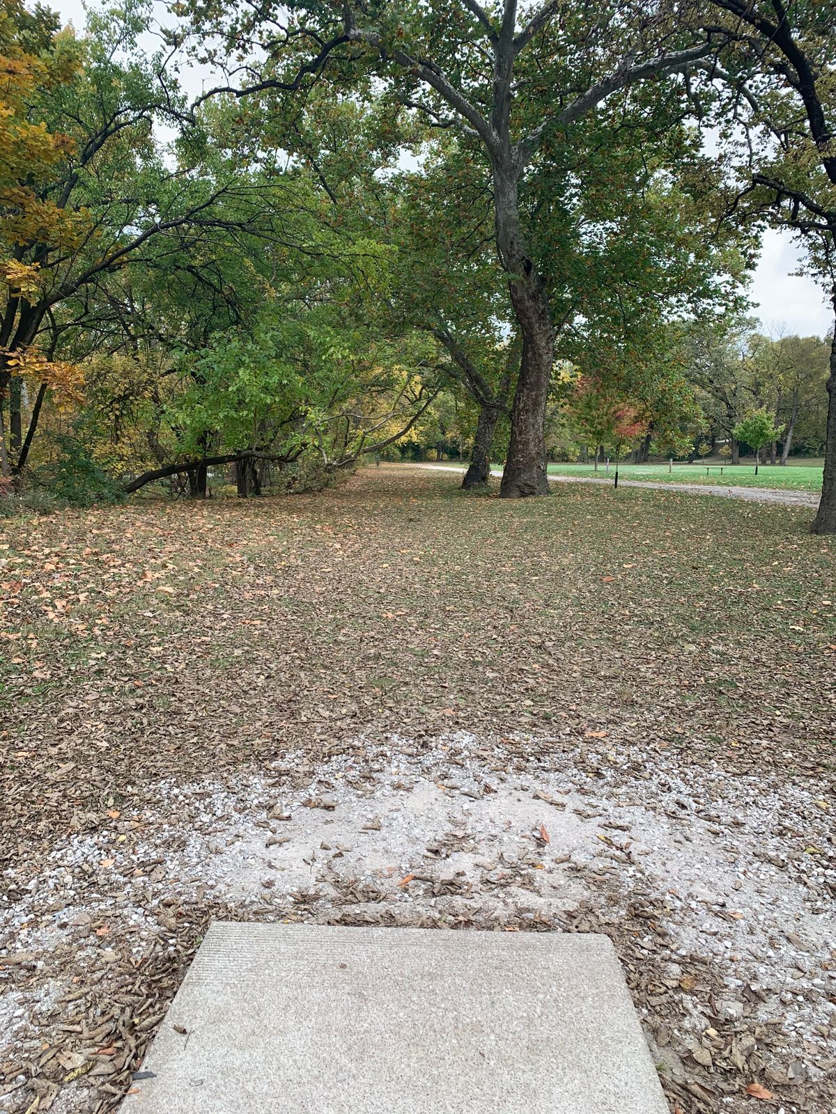 Hole 8 Tee