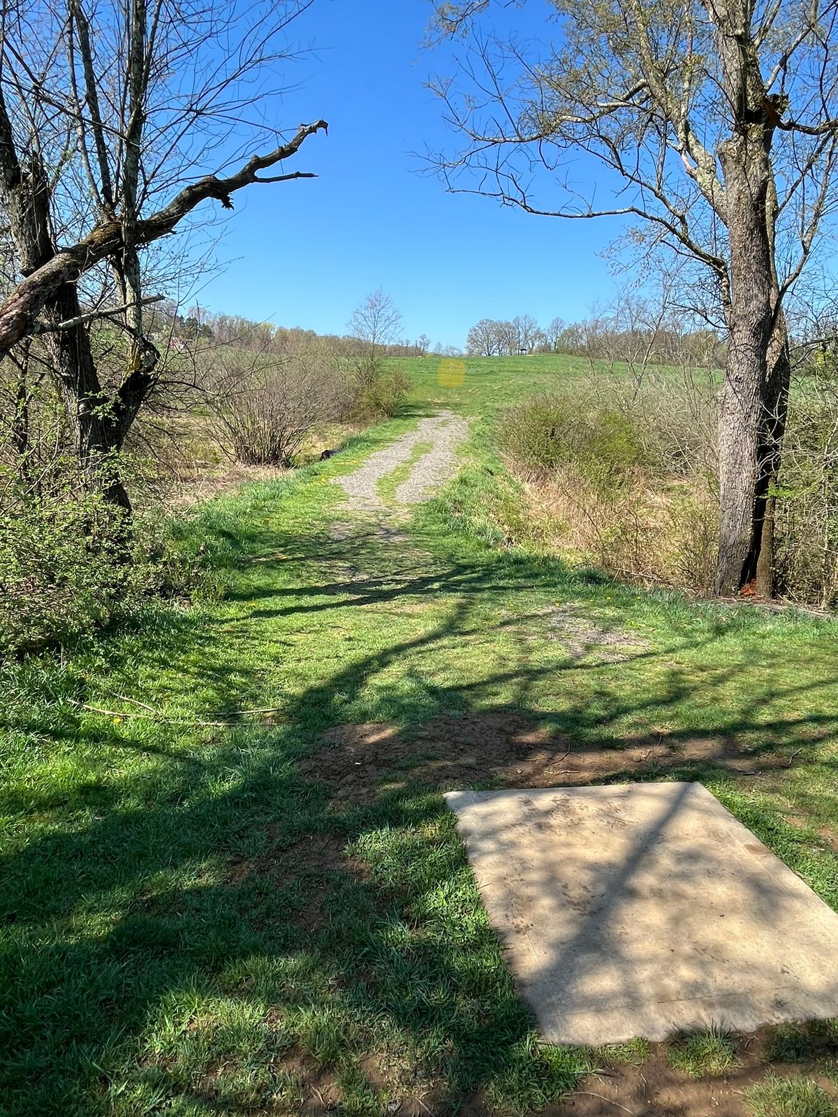 Hole 4 (Tee Signs have been moved) 