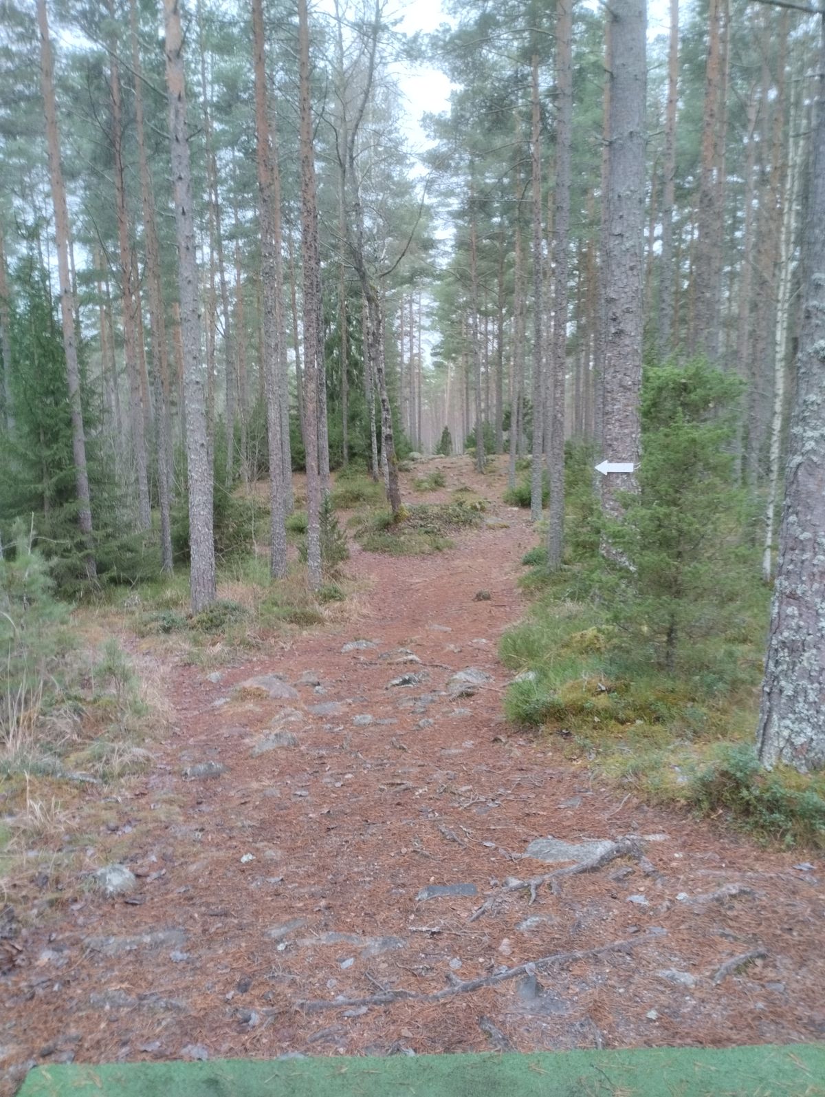 Väylä 10