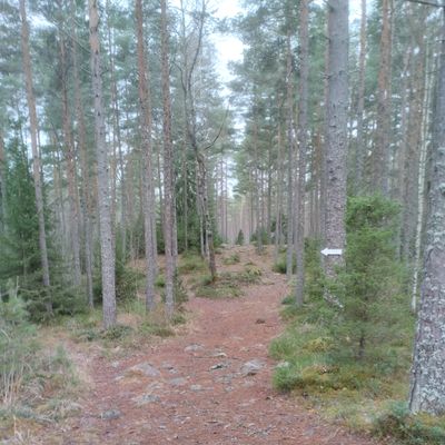 Väylä 10