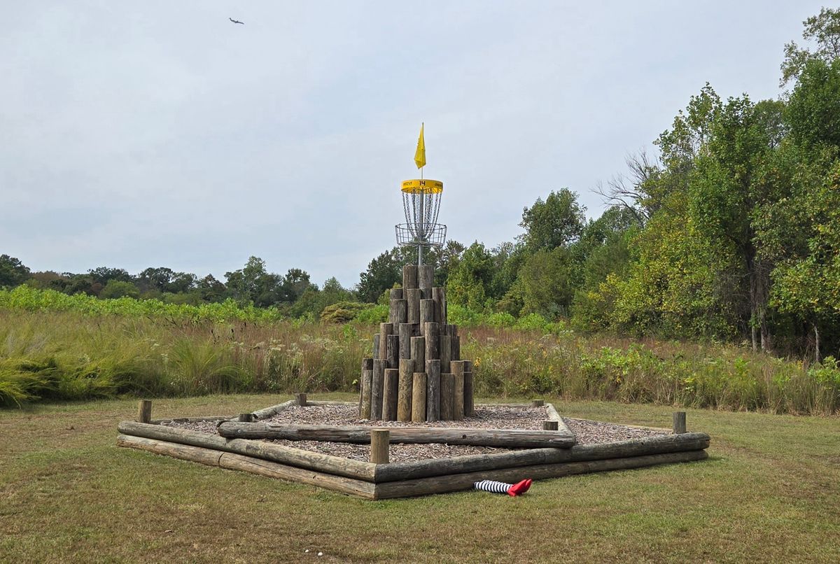 Hole 14 Basket