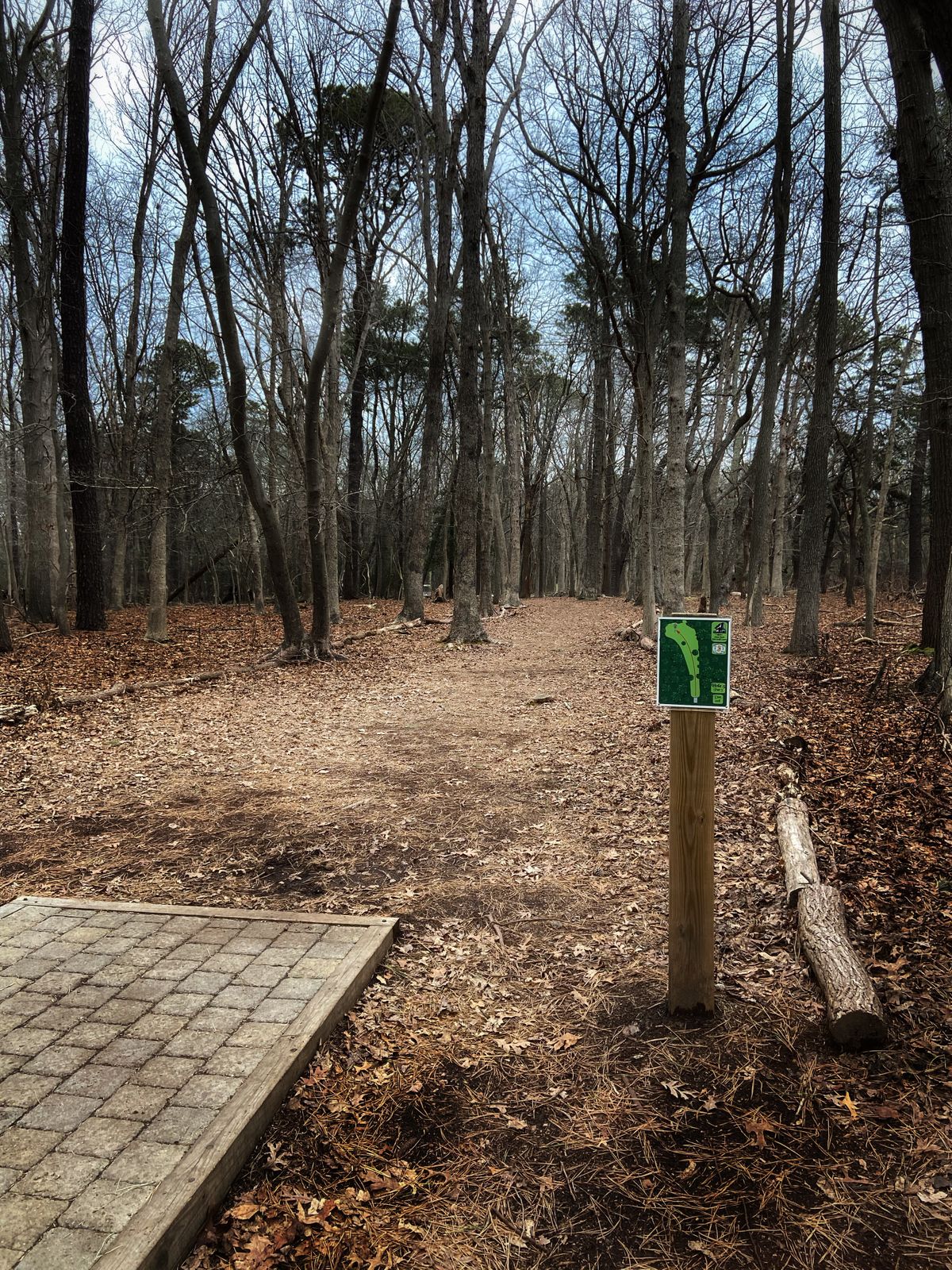 Hole #5  (Winter look)