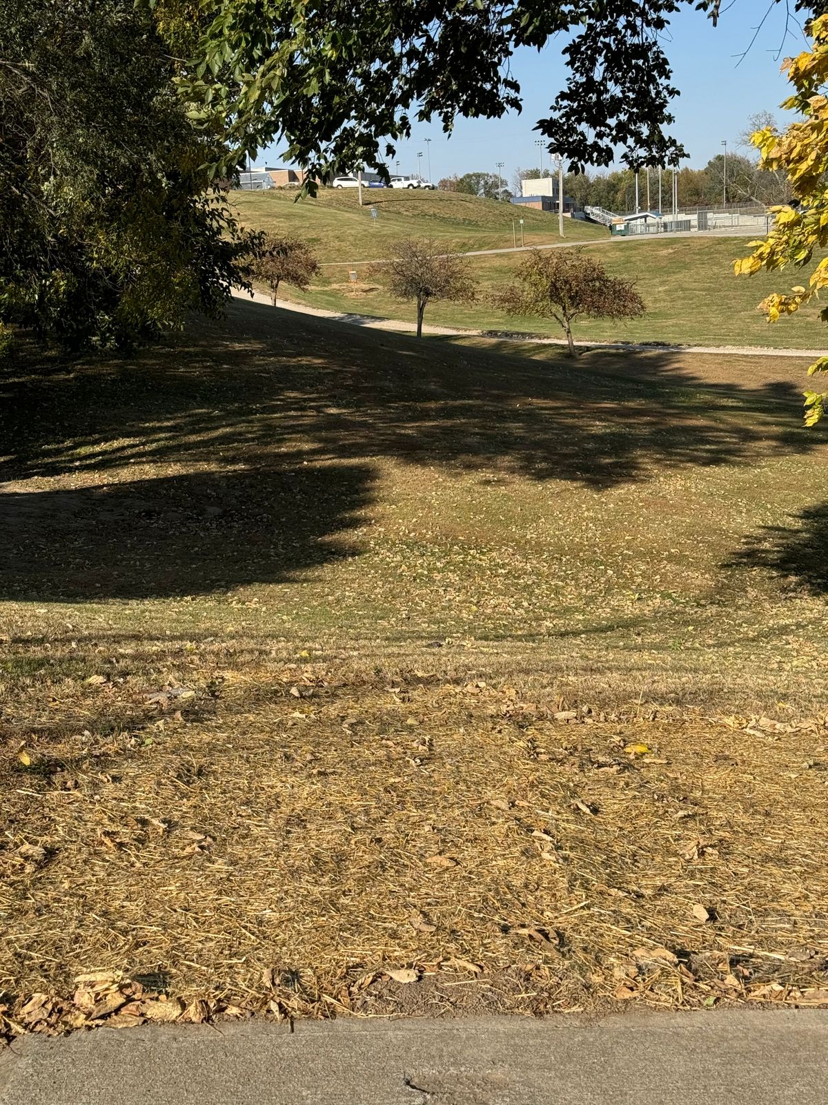 Hole 17