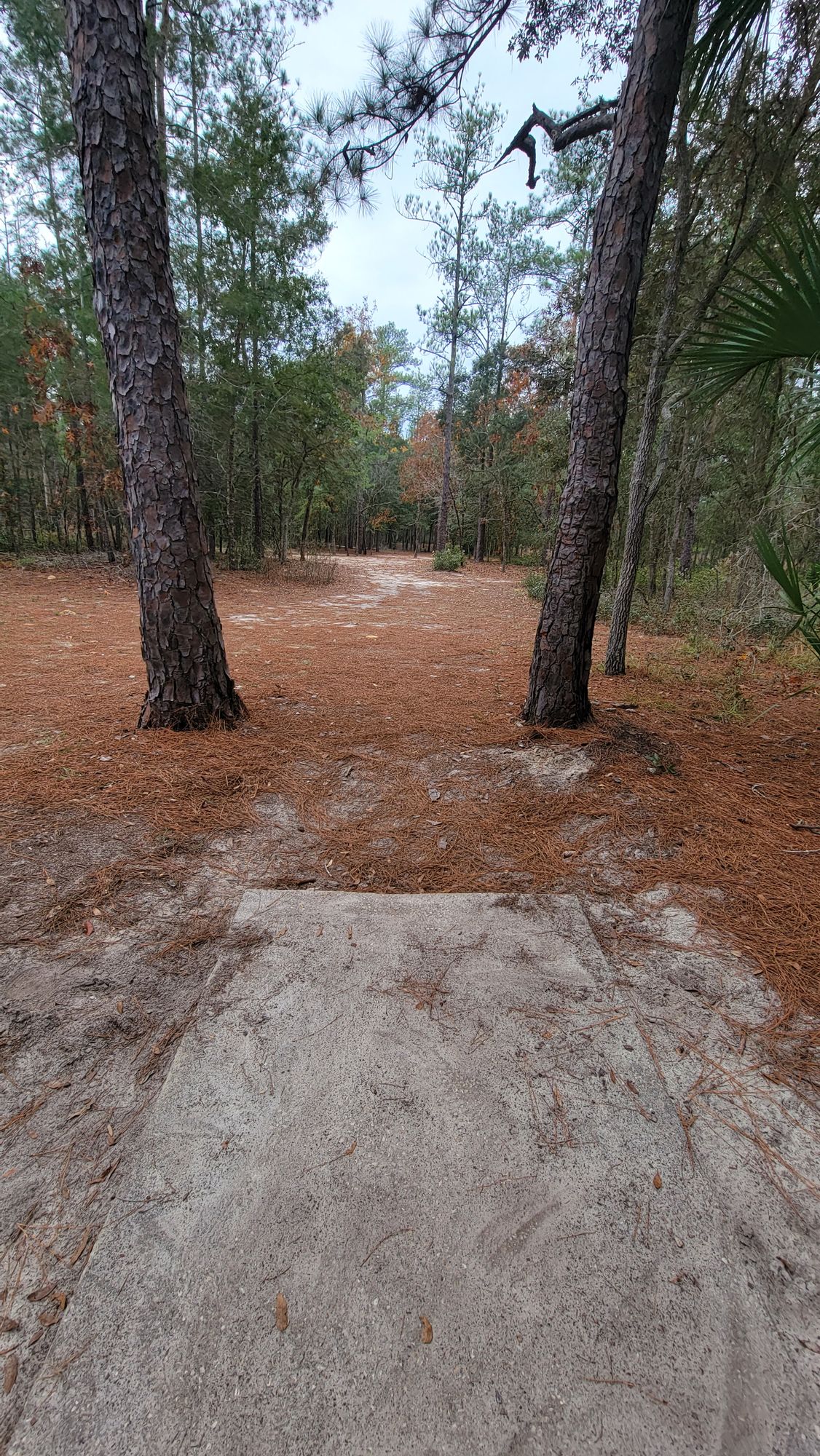 #2 Tee (only pad)